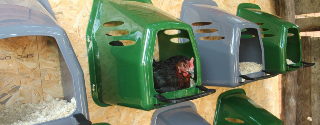 znaskovej hniezda pre sliepky